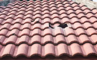 6 Signs of an Unhealthy Roof and What to Do About It